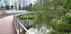 Blk 540 Panshan Grove (Bukit Panjang), HDB 5 Rooms #568917351